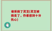 谁采摘了灵芝(灵芝被摘走了，作者感到十分伤心)