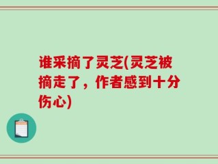 谁采摘了灵芝(灵芝被摘走了，作者感到十分伤心)
