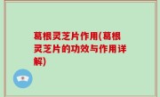 葛根灵芝片作用(葛根灵芝片的功效与作用详解)