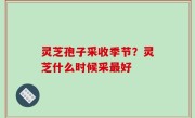 灵芝孢子采收季节？灵芝什么时候采最好