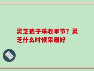 灵芝孢子采收季节？灵芝什么时候采最好