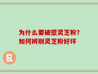 为什么要破壁灵芝粉？如何辨别灵芝粉好坏