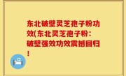 东北破壁灵芝孢子粉功效(东北灵芝孢子粉：破壁强效功效震撼回归！