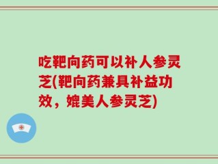 吃靶向药可以补人参灵芝(靶向药兼具补益功效，媲美人参灵芝)