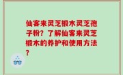 仙客来灵芝椴木灵芝孢子粉？了解仙客来灵芝椴木的养护和使用方法？