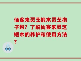 仙客来灵芝椴木灵芝孢子粉？了解仙客来灵芝椴木的养护和使用方法？