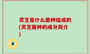 灵芝是什么菌种组成的(灵芝菌种的成分简介)