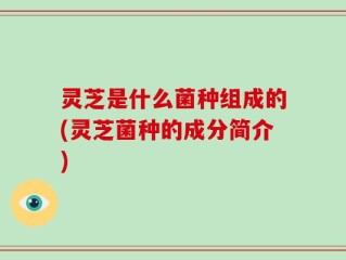 灵芝是什么菌种组成的(灵芝菌种的成分简介)