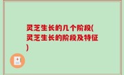 灵芝生长的几个阶段(灵芝生长的阶段及特征)