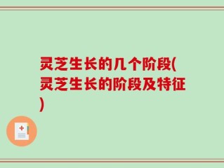 灵芝生长的几个阶段(灵芝生长的阶段及特征)