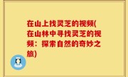 在山上找灵芝的视频(在山林中寻找灵芝的视频：探索自然的奇妙之旅)
