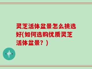 灵芝活体盆景怎么挑选好(如何选购优质灵芝活体盆景？)