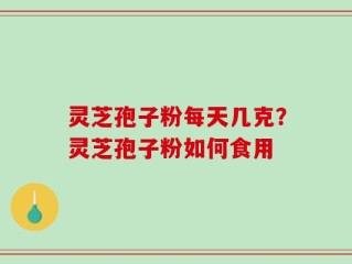 灵芝孢子粉每天几克？灵芝孢子粉如何食用