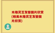 木雕灵芝发簪图片欣赏(精美木雕灵芝发簪图片欣赏)