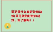 灵芝煲什么有好处和功效(灵芝煲的好处和功效，你了解吗？)