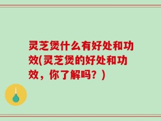 灵芝煲什么有好处和功效(灵芝煲的好处和功效，你了解吗？)