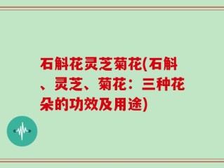 石斛花灵芝菊花(石斛、灵芝、菊花：三种花朵的功效及用途)