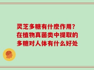 灵芝多糖有什麽作用？在植物真菌类中提取的多糖对人体有什么好处