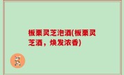 板栗灵芝泡酒(板栗灵芝酒，焕发浓香)