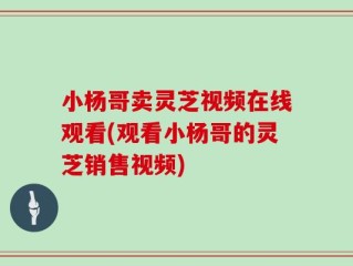 小杨哥卖灵芝视频在线观看(观看小杨哥的灵芝销售视频)