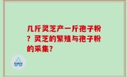 几斤灵芝产一斤孢子粉？灵芝的繁殖与孢子粉的采集？