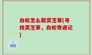 白蛇怎么取灵芝草(寻找灵芝草，白蛇奇遇记)