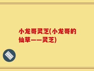 小龙哥灵芝(小龙哥的仙草——灵芝)