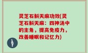 灵芝石斛天麻功效(灵芝石斛天麻：四神汤中的主角，提高免疫力，改善睡眠和记忆力)