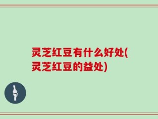 灵芝红豆有什么好处(灵芝红豆的益处)