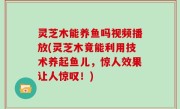 灵芝木能养鱼吗视频播放(灵芝木竟能利用技术养起鱼儿，惊人效果让人惊叹！)