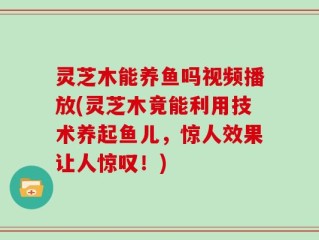 灵芝木能养鱼吗视频播放(灵芝木竟能利用技术养起鱼儿，惊人效果让人惊叹！)