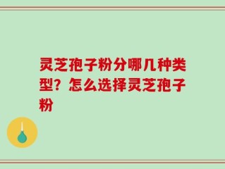 灵芝孢子粉分哪几种类型？怎么选择灵芝孢子粉