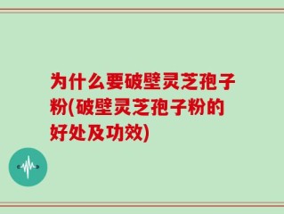 为什么要破壁灵芝孢子粉(破壁灵芝孢子粉的好处及功效)