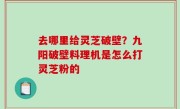 去哪里给灵芝破壁？九阳破壁料理机是怎么打灵芝粉的
