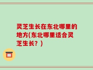 灵芝生长在东北哪里的地方(东北哪里适合灵芝生长？)