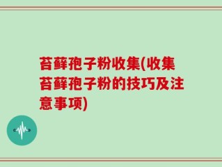 苔藓孢子粉收集(收集苔藓孢子粉的技巧及注意事项)