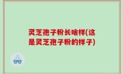 灵芝孢子粉长啥样(这是灵芝孢子粉的样子)