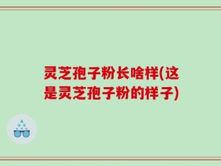 灵芝孢子粉长啥样(这是灵芝孢子粉的样子)