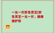 一元一斤野生灵芝(野生灵芝一元一斤，健康保护你