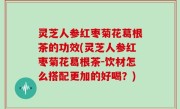 灵芝人参红枣菊花葛根茶的功效(灵芝人参红枣菊花葛根茶-饮材怎么搭配更加的好喝？)