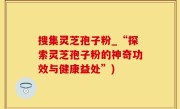 搜集灵芝孢子粉_“探索灵芝孢子粉的神奇功效与健康益处”)