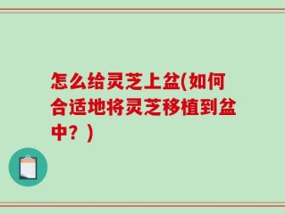 怎么给灵芝上盆(如何合适地将灵芝移植到盆中？)