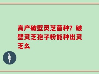 高产破壁灵芝菌种？破壁灵芝孢子粉能种出灵芝么