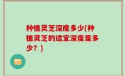 种植灵芝深度多少(种植灵芝的适宜深度是多少？)