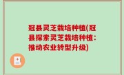 冠县灵芝栽培种植(冠县探索灵芝栽培种植：推动农业转型升级)
