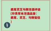 鹿茸灵芝马鞭泡酒评语(珍贵草本泡酒品鉴：鹿茸、灵芝、马鞭皆佳)