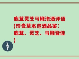 鹿茸灵芝马鞭泡酒评语(珍贵草本泡酒品鉴：鹿茸、灵芝、马鞭皆佳)