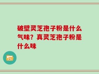 破壁灵芝孢子粉是什么气味？真灵芝孢子粉是什么味