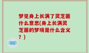 梦见身上长满了灵芝菌什么意思(身上长满灵芝菌的梦境是什么含义？)