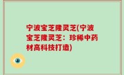 宁波宝芝隆灵芝(宁波宝芝隆灵芝：珍稀中药材高科技打造)
